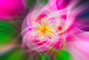 Abstract twirl effect background with flower