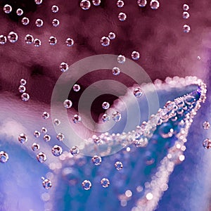 Abstract underwater composition with blurry orchid petals and bubbles