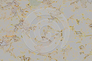 Abstract unique irregular golden strokes background