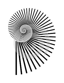 Abstract vector Archimedean spiral, shell symbol shape on a white background. Isolated spiral, template for design, hypnotic