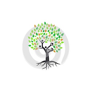 Abstract vector family tree logo. Family tree icon. Stock vector tree
