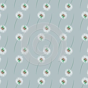 Abstract Vector Floral print. Dandelions Seamless Pattern