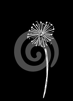 Abstract vector illustration of a dandelion.