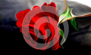 Abstract vector multicolored rose with shaded wavy background with lighting effect, vector illustration