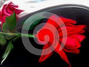 Abstract vector red rose with shaded wavy background with lighting effect, vector illustration