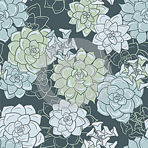 Abstract vector seamless pattern with succulentes