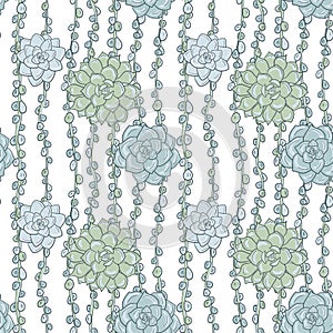 Abstract vector seamless pattern with succulentes