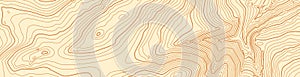 Abstract vector topographic map in brown colors