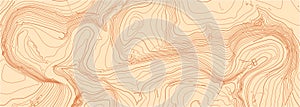 Abstract vector topographic map on white background