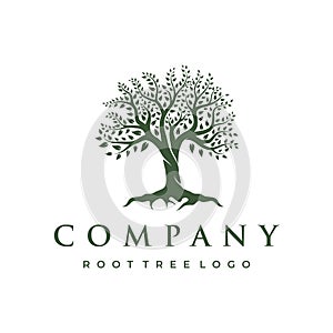 Abstract vibrant tree logo design. Root vector - Tree of life logo design