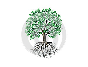 Abstract vibrant tree logo design,  tree and roots vector isolated