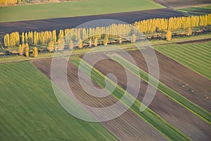 Abstract View of Agricultural Fields and Tree Line