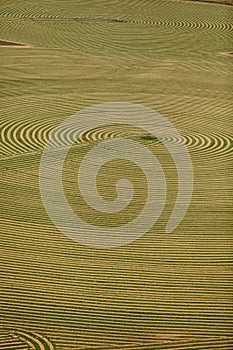 An abstract view of farm Land.