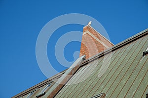 Abstract view of a green roof and red bricks with a lone seagull