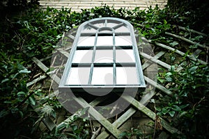 Abstract view of a large garden mirror attached to the rear of a neighbouring wall.