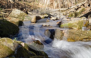 An Abstract view of Roaring Run Creek