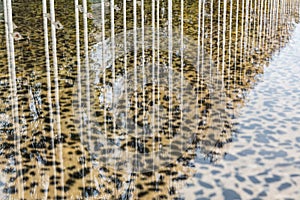 Abstract view of trees and white pillars reflecting in a shalow water basin photo
