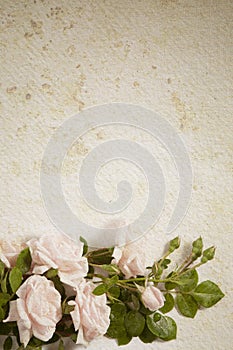 Abstract vintage flower paper background