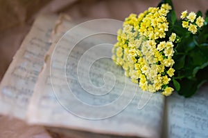Abstract vintage grunge music background yellow flowers on yellowed old music book with worn paper. Concept of romantic