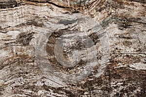 Abstract Vintage grunge wood texture background.