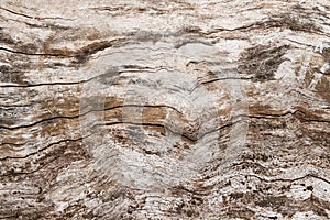 Abstract Vintage grunge wood texture background.