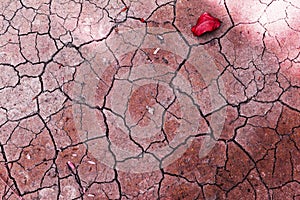 Abstract vintage red tone crack texture on dry soil