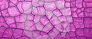 Abstract Violet Cracked Surface Texture for Background Use