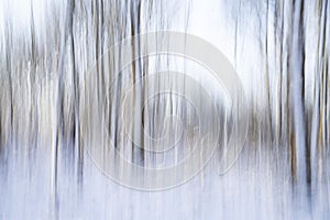 Abstract vision of the woods nearby, ICM technique.