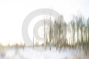 Abstract vision of the woods nearby, ICM technique.