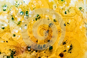 Abstract water colors texture background