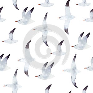 Abstract watercolor background with flying seagulls. White seagull isolated on the white background. Sea background with a minimal