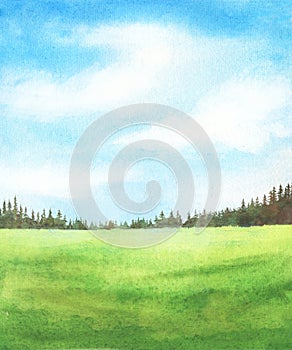 Abstract watercolor background with field and blue sky with clouds, spruce trees hand drawn illustration