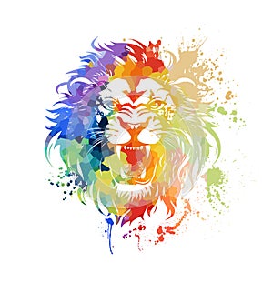 Abstract watercolor colorful lion head. Lion portrait painting in watercolor style. Vector illustration