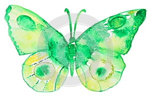 Abstract Watercolor hand drawn butterfly