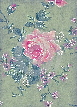 Abstract watercolor illustration of antique vintage rose