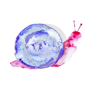 Abstract watercolor illustration of a pink snail with a purple shell. Isolated on white background