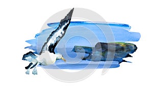 Abstract watercolor landscape with rocky coastline and flying seagull, hand painted and isolated on white background