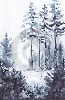 Abstract watercolor monochrome landscape of the Russian forest.Illustration photo