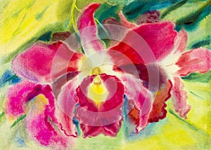 Abstract watercolor original painting colorful of orchid flower