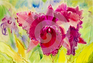 Abstract watercolor original painting purple pink color of orchid
