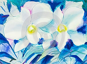 Abstract watercolor original painting white color of orchid flower