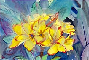 Abstract watercolor original painting yellow color of desert rose