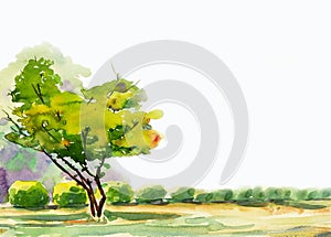 Abstract watercolor painting colorful of one tree in the garden.