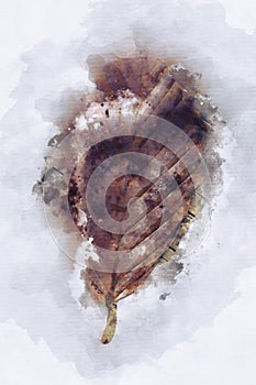 Abstract watercolor painting of dried leaf in brown tone