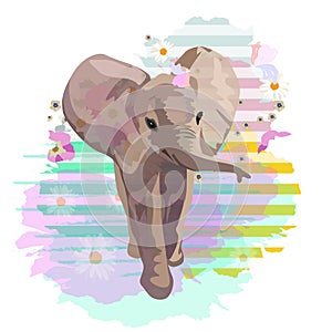 Abstract watercolor pattern baby elephant