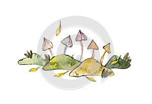 Abstract watercolor psilocybe psychedelic mushrooms isolated on white