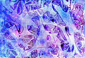 Abstract watercolor stains as an unique background, bright abstract watercolor painting, violet and blue pattern