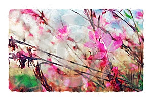 Abstract watercolor style illustration of pink and red field flowers