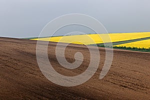 Abstract wavy fields on South Moravia, Czech republic