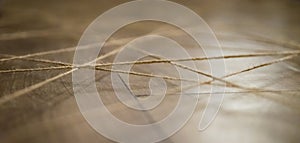 Abstract web background made of rope. Selective focus